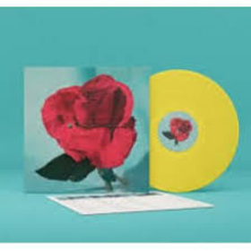 METZ - UP ON GRAVITY HILL -LTD-