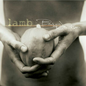 LAMB - BETWEEN DARKNESS & WONDER