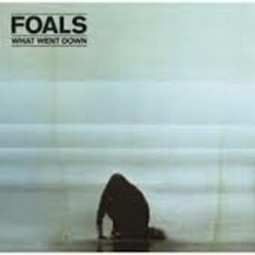 FOALS - WHAT WENT DOWN