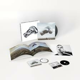 ADAMS, BRYAN - ROLL WITH THE PUNCHES -DELUXE BOX-