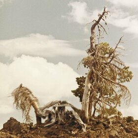 PEOPLE OF THE NORTH - STEEP FORMATIONS