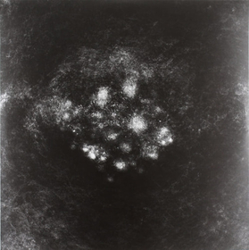 SAFFRONKEIRA - SYNECDOCHE