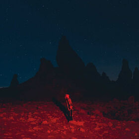 BRIDGERS, PHOEBE - PUNISHER -HQ