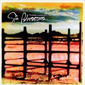 GIN BLOSSOMS - OUTSIDE LOOKING IN