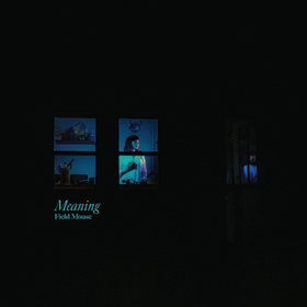 FIELD MOUSE - MEANING