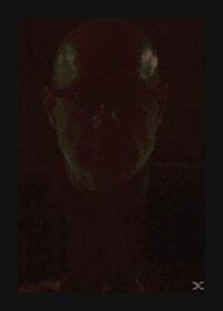 ENO, BRIAN - REFLECTION