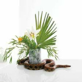 GUNDERSEN, NOAH - WHITE NOISE