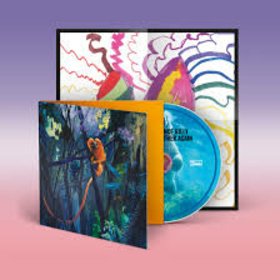 BONNIE PRINCE BILLY - WE ARE TOGETHER AGAIN