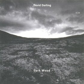 DARLING, DAVID - DARK WOOD