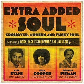 VARIOUS ARTISTS - EXTRA ADDED SOUL