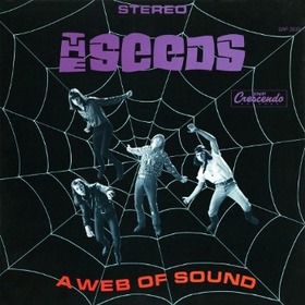 SEEDS - A WEB OF SOUND -DELUXE-