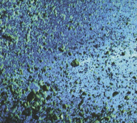 SEWARD - SECOND TWO: CHAPTER HOME