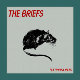 BRIEFS - PLATINUM RATS