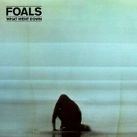 FOALS - WHAT WENT DOWN -HQ-