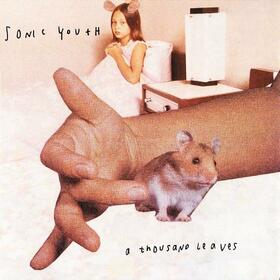 SONIC YOUTH - A THOUSAND LEAVES