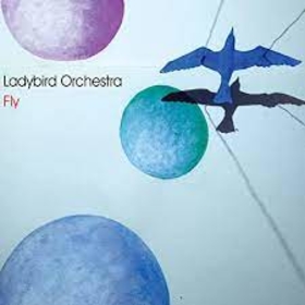 LADYBIRD ORCHESTRA - FLY
