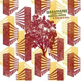SHABANI & THE BURNIN' BIR - A TREE IN A CITY