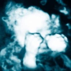 MONFORT, SANDRA - NIÑO REPTIL ANGEL -HQ-