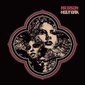 MR. BISON - HOLY OAK