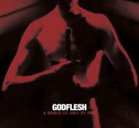 GODFLESH - A WORLD ONLY LIT BY FIRE -LTD-