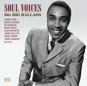 VARIOS ARTISTAS - SOUL VOICES