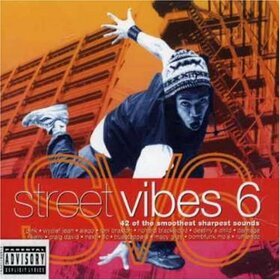 VARIOS ARTISTAS - STREET VIBES 6 -42TR-