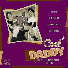 VARIOUS ARTISTS - COOL DADDY -24TR-