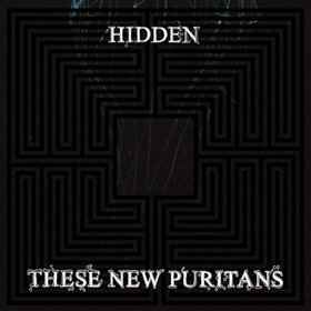THESE NEW PURITANS - HIDDEN