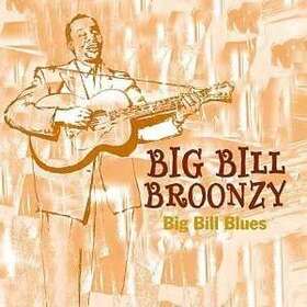 BROONZY, BIG BILL - BIG BILL BLUES