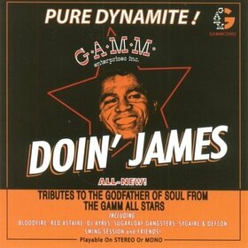 VARIOS ARTISTAS - DOIN' JAMES-TRIBUTES TO