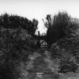 MODELO DE RESPUESTA POLAR - EL CARIÑO