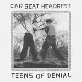 CAR SEAT HEADREST - TEENS OF DENIAL
