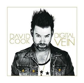 COOK, DAVID - DIGITAL VEIN