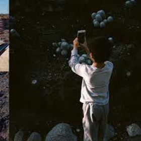 MEGA BOG - LIFE, AND ANOTHER