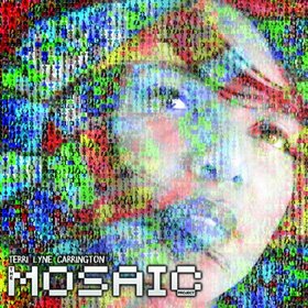 CARRINGTON, TERRI LYNE - MOSAIC PROJECT