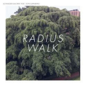 SCHNEIDER, STEFAN - RADIUS WALK + CD