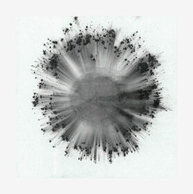 TRENTEMOLLER - OBVERSE -LTD-