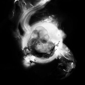 SAFFRONKEIRA - SAFFRONKEIRA -10''-