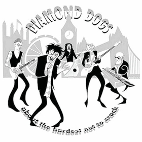 DIAMOND DOGS - ABOUT THE HARDEST NUT TO CRACK