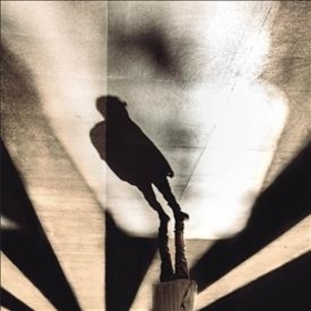 PANTALEO - AFLUENTS -HQ-