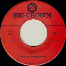 FIELDS, LEE - WAKE UP!