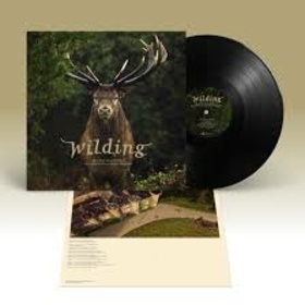 ORIGINAL SOUND TRACK - WILDING -HQ-