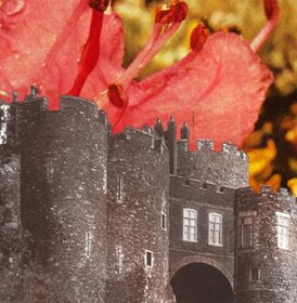 DEERHUNTER - MICROCASTLE