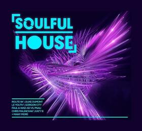VARIOS ARTISTAS - SOULFUL HOUSE