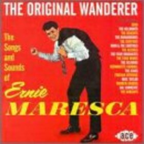 VARIOUS ARTISTS - ORIGINAL WANDERER