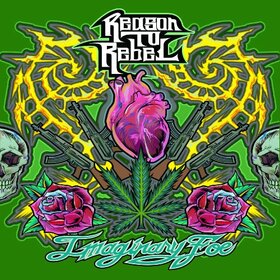 REASON TO REBEL - IMAGINARY FOE