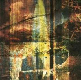 PELICAN - FOREVER BECOMING