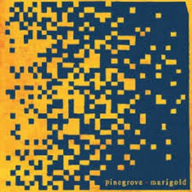 PINEGROVE - MARIGOLD