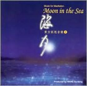 VARIOUS ARTISTS - MOON IN THE SEA