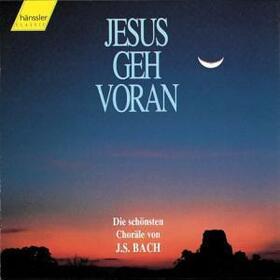 VARIOS ARTISTAS - JESUS GEH VORAN